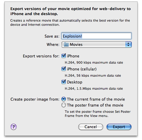 Export movie panel