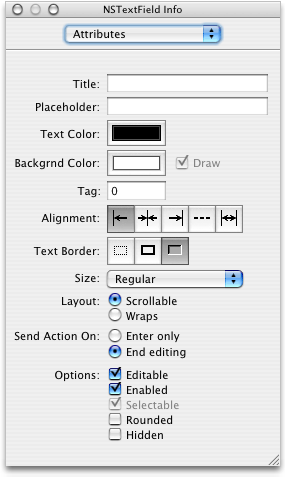 The Attributes pane of the Info window for the exchange rate field