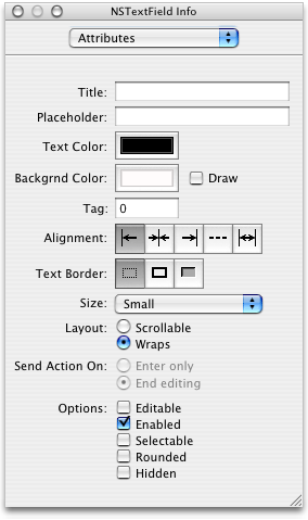 The Attributes pane in the Info window for the text field