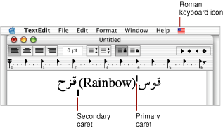 Dual caret at direction boundaries in mixed-directional text