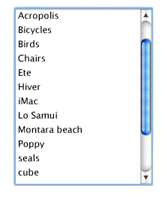 A list box