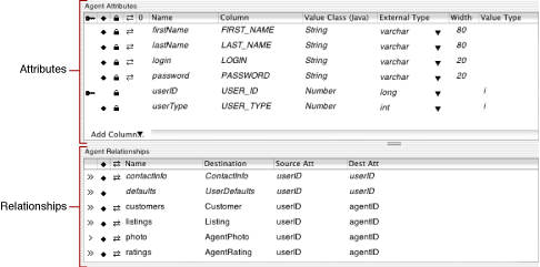 An entity’s attributes and relationships